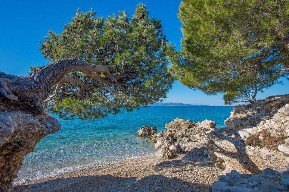 Apartments Kovacic Makarska Bagian luar foto